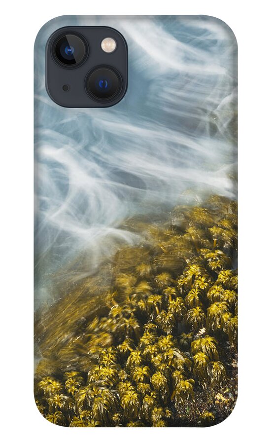 Kevin Schafer iPhone 13 Case featuring the photograph Sea Palm In Surf Cape Flattery by Kevin Schafer