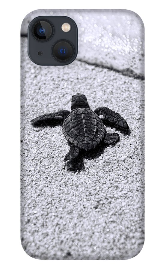 #faatoppicks iPhone 13 Case featuring the photograph Sea Turtle by Sebastian Musial
