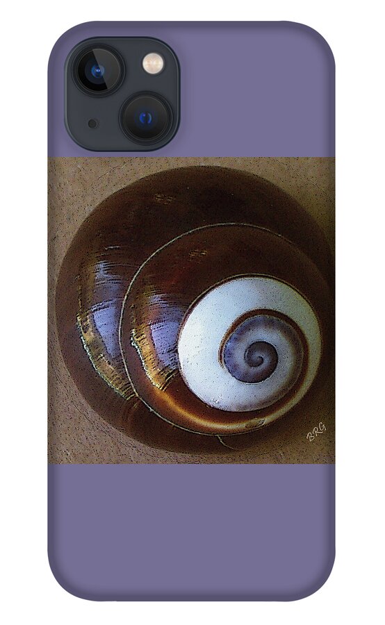 Seashell iPhone 13 Case featuring the photograph Seashells Spectacular No 26 by Ben and Raisa Gertsberg
