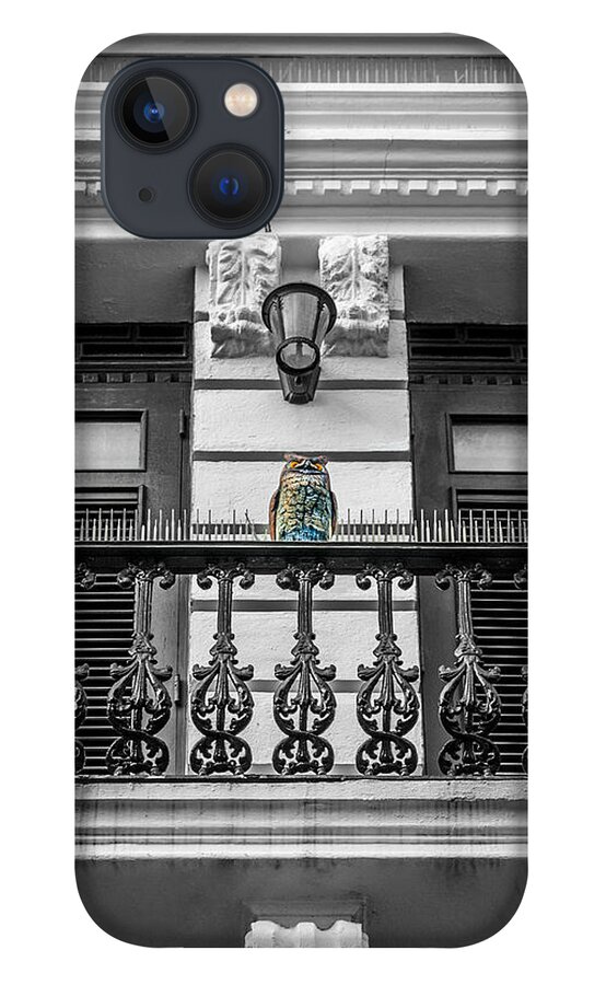 Carribean iPhone 13 Case featuring the photograph Sentry by Frank Mari