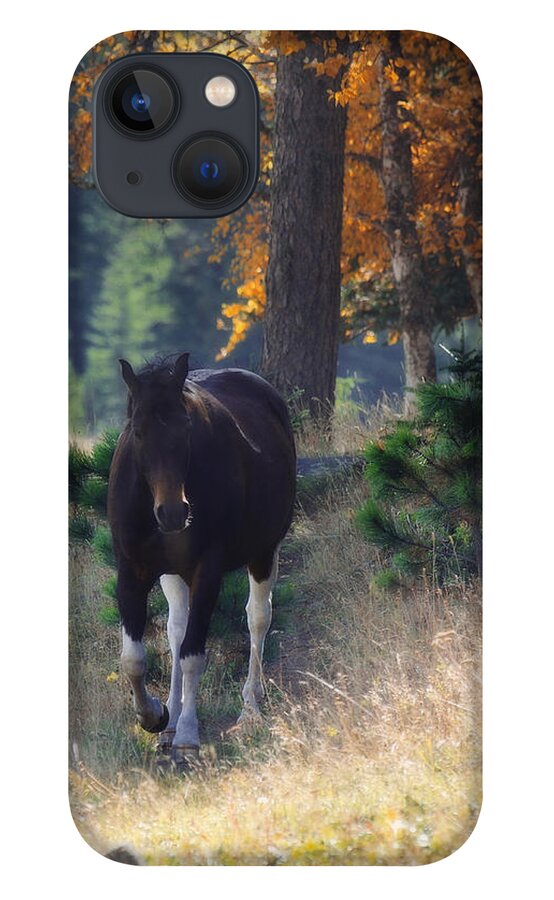 Horse iPhone 13 Case featuring the photograph September Surrender by Amanda Smith