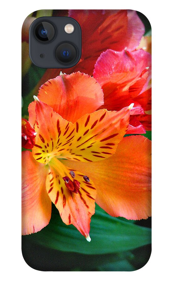 Shades Of Orange - Bill Voizin iPhone 13 Case featuring the photograph Shades of Orange by Bill Voizin 