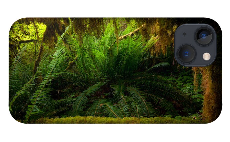 Shelter iPhone 13 Case featuring the photograph Sheltered Fern by Andrew Kumler