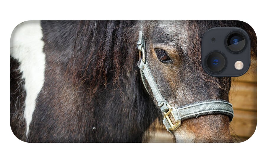 Horse iPhone 13 Case featuring the photograph Shetland Pony by Deborah Pendell