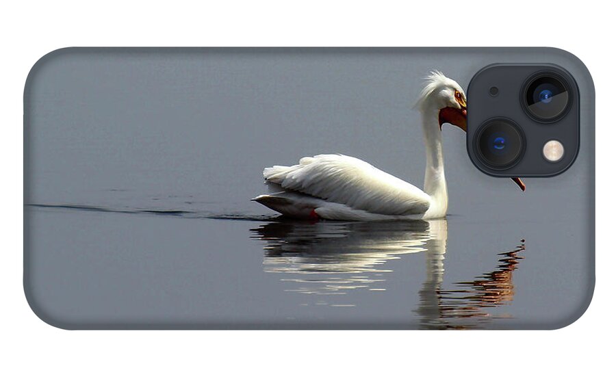 Pelican iPhone 13 Case featuring the photograph Silent and Reflective by Thomas Young
