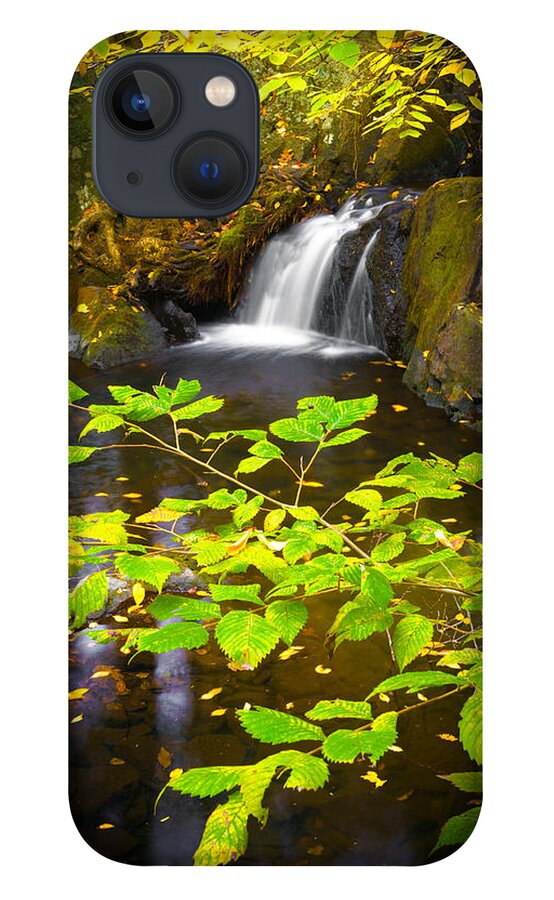 Leaves iPhone 13 Case featuring the photograph Silent Brook by Mark Rogers