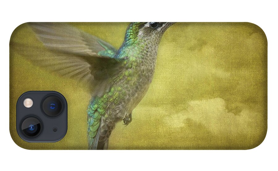 Magnificent Hummingbird iPhone 13 Case featuring the photograph Simply Magnificent.. by Nina Stavlund