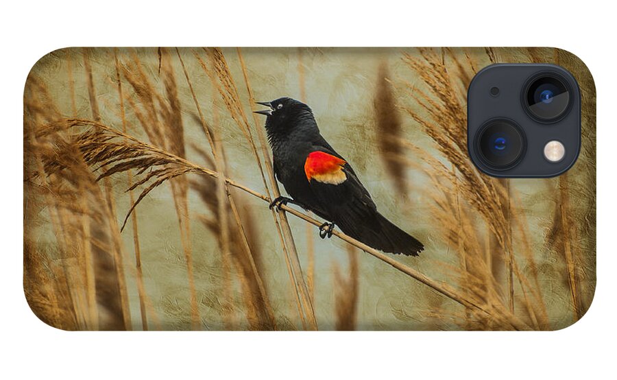 Red Wing Blackbird iPhone 13 Case featuring the photograph Singing Red Wing by Cathy Kovarik