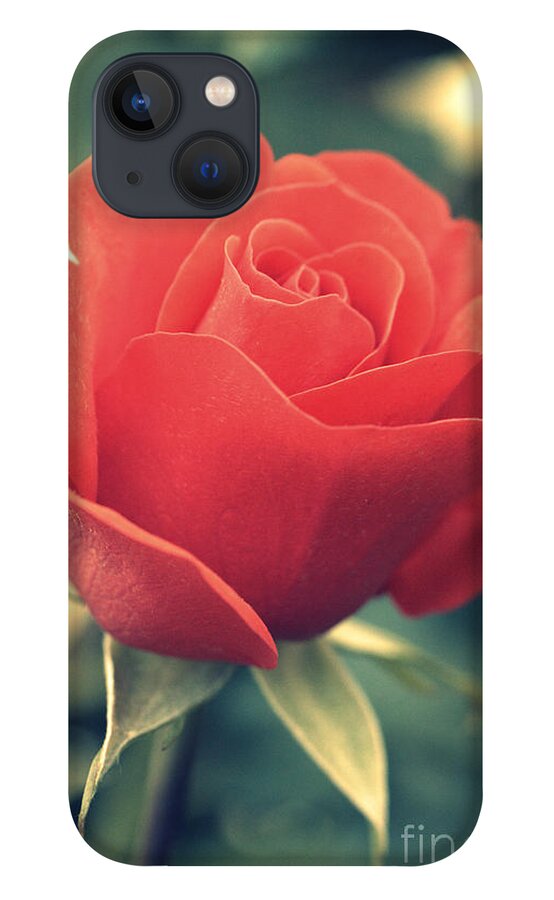 Gift iPhone 13 Case featuring the photograph Single red Rose by Amanda Mohler