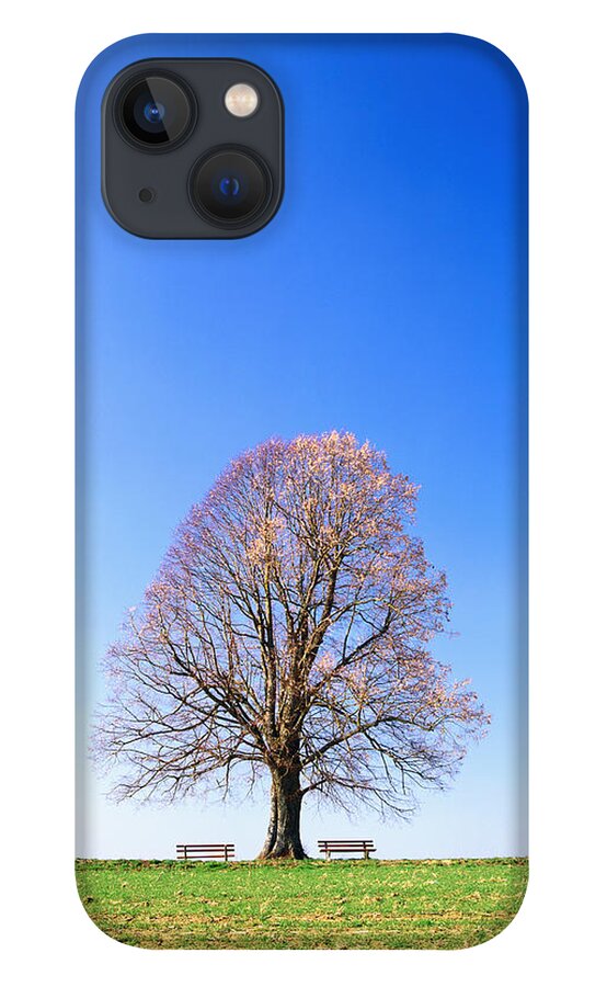 Clear Sky iPhone 13 Case featuring the photograph Single Tree With Two Benches by Thomas Winz