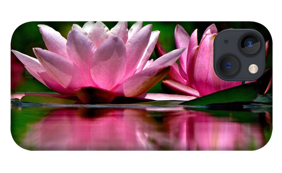 Waterlily iPhone 13 Case featuring the photograph Sisters by Carol Montoya
