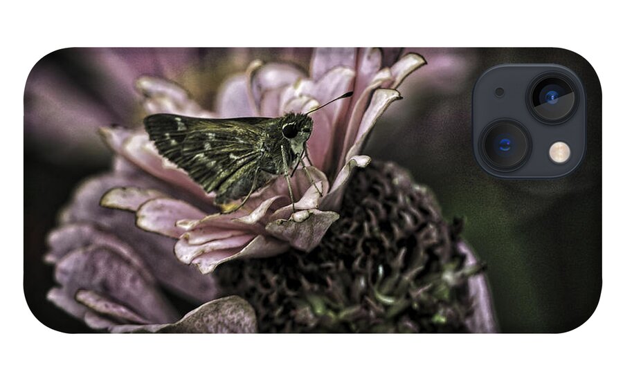 Botanical Gardens iPhone 13 Case featuring the photograph Skipper on flower by Donald Brown