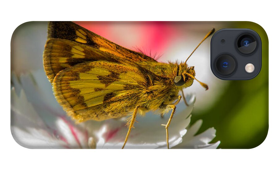 Nature iPhone 13 Case featuring the photograph Skipper by Robert Mitchell