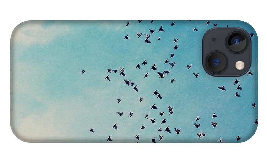 Songbird iPhone 13 Case featuring the photograph Skys The Limit by Juj Winn