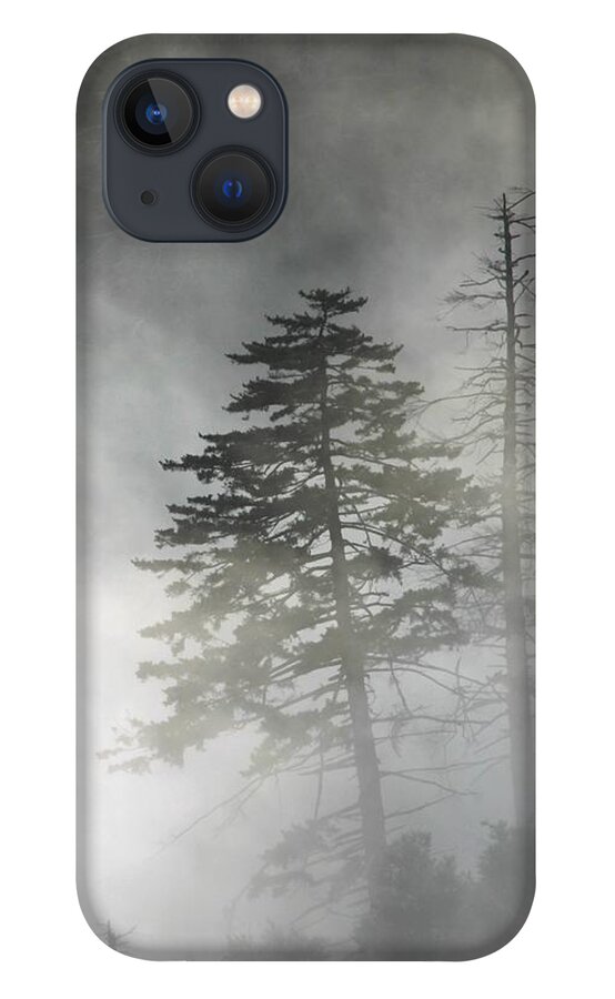Art Prints iPhone 13 Case featuring the photograph Smoky Mountain Mist by Nunweiler Photography