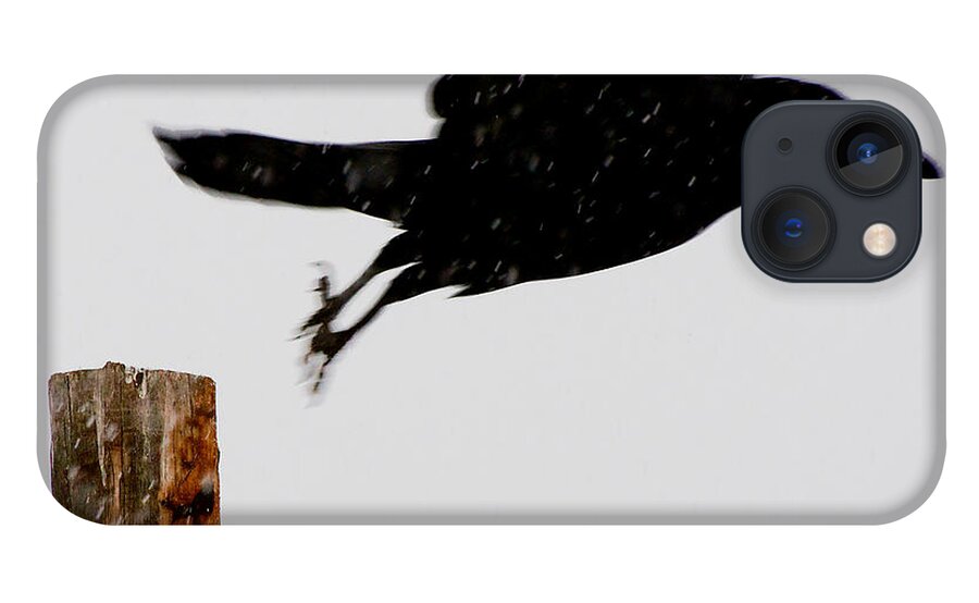 Bird iPhone 13 Case featuring the photograph Snow Raven Blurr by Britt Runyon