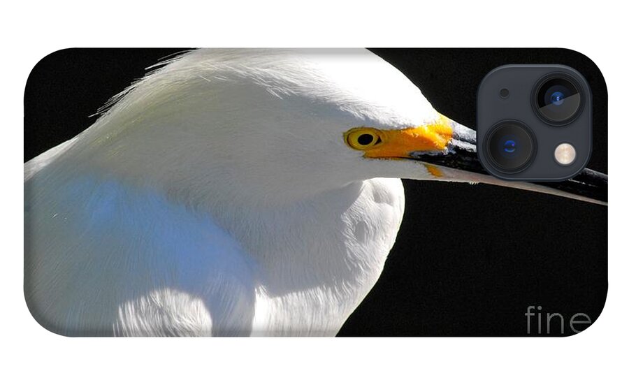 Egret iPhone 13 Case featuring the photograph Snowy Egret by Quinn Sedam