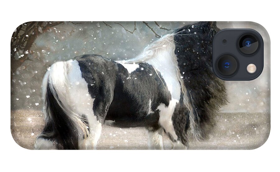 Horse Photographs iPhone 13 Case featuring the photograph Solitary by Fran J Scott