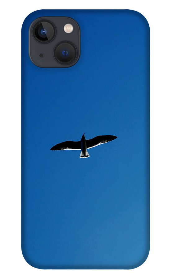 Gull iPhone 13 Case featuring the photograph Solo Flight by David Weeks