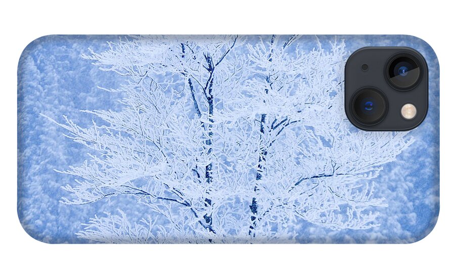 Scenics iPhone 13 Case featuring the photograph Song For Winter by Pray For Japan