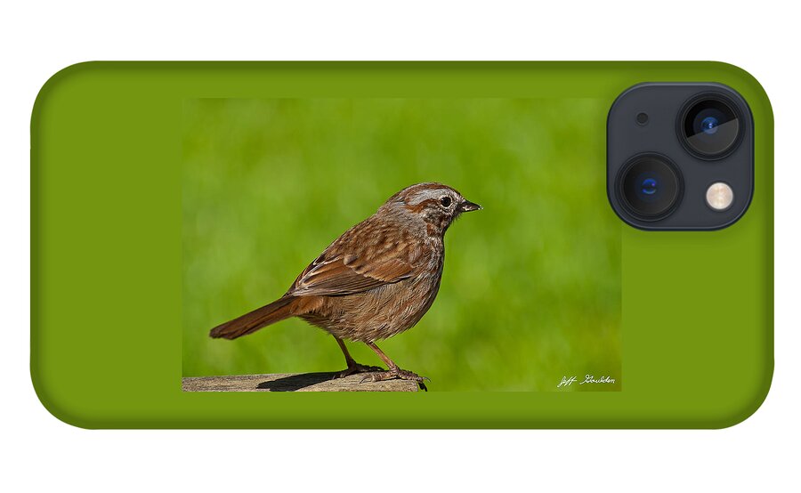 Animal iPhone 13 Case featuring the photograph Song Sparrow on a Log by Jeff Goulden