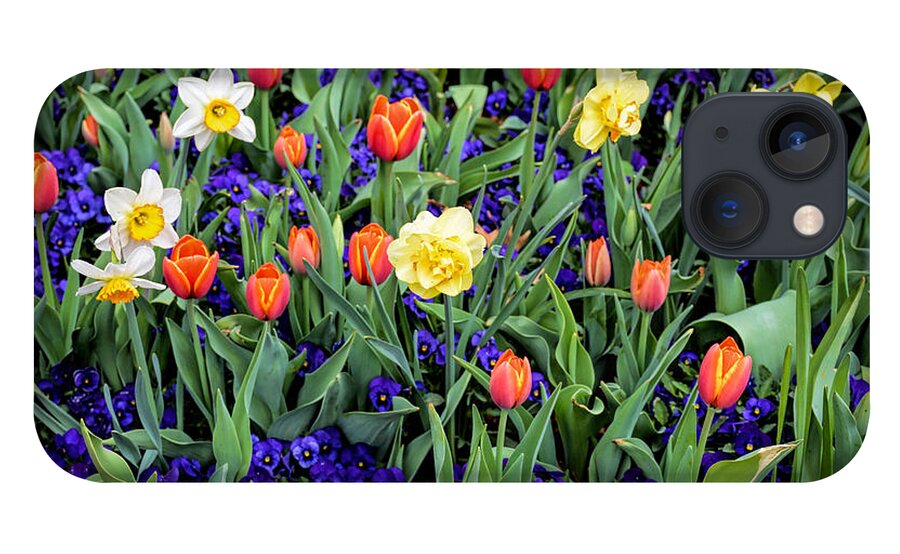 Spring iPhone 13 Case featuring the photograph Spring Color by Jeanne May