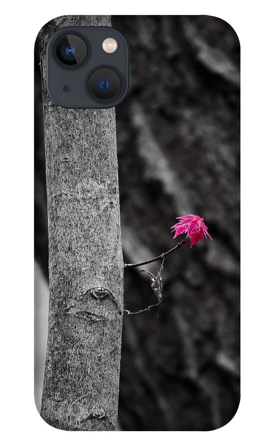 Natural Bridge iPhone 13 Case featuring the photograph Spring Maple Growth by Steven Ralser