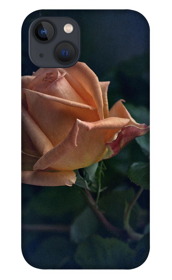 Rose iPhone 13 Case featuring the photograph Spring Memory by Richard Cummings