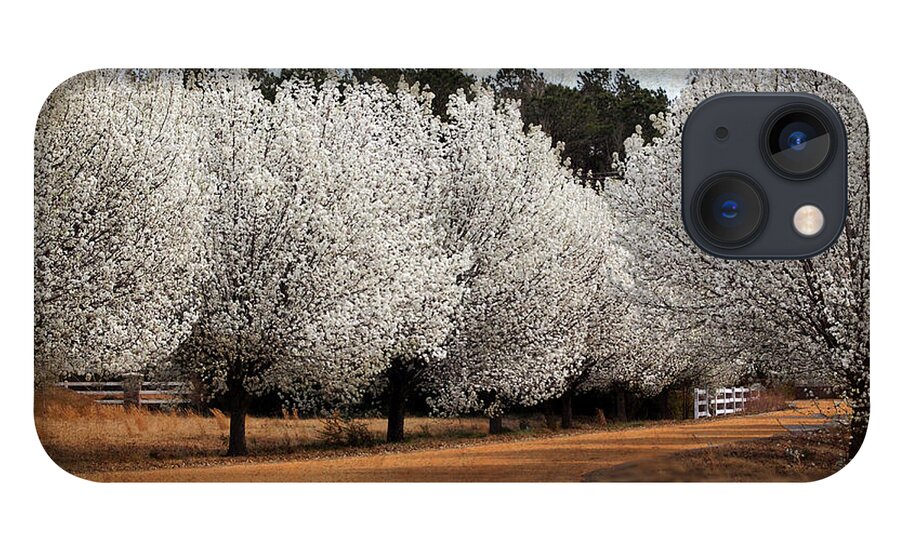 Flowers iPhone 13 Case featuring the photograph Spring Pear Blossoms by Kathy Baccari