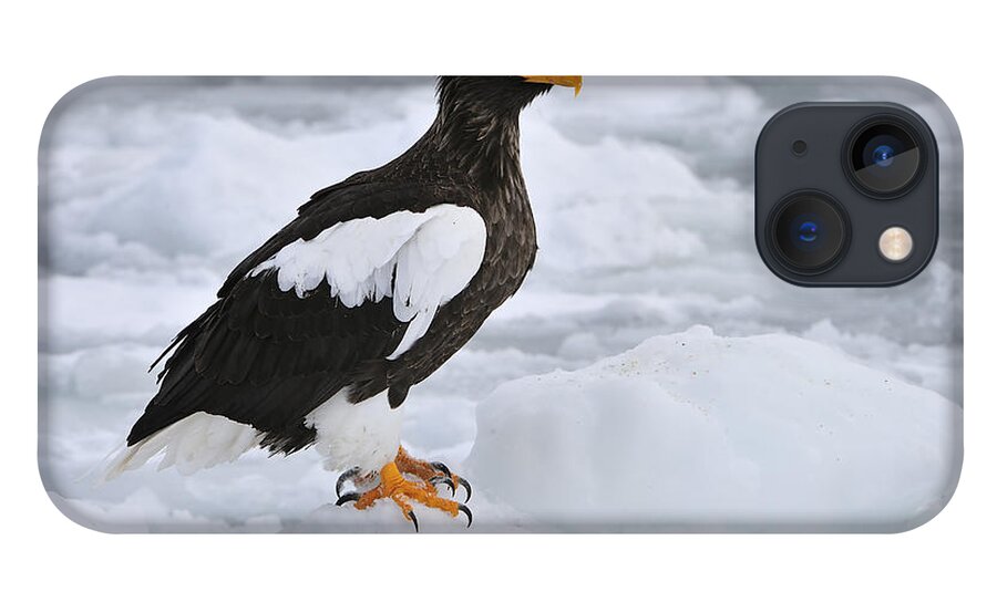 Thomas Marent iPhone 13 Case featuring the photograph Stellers Sea Eagle Hokkaido Japan by Thomas Marent