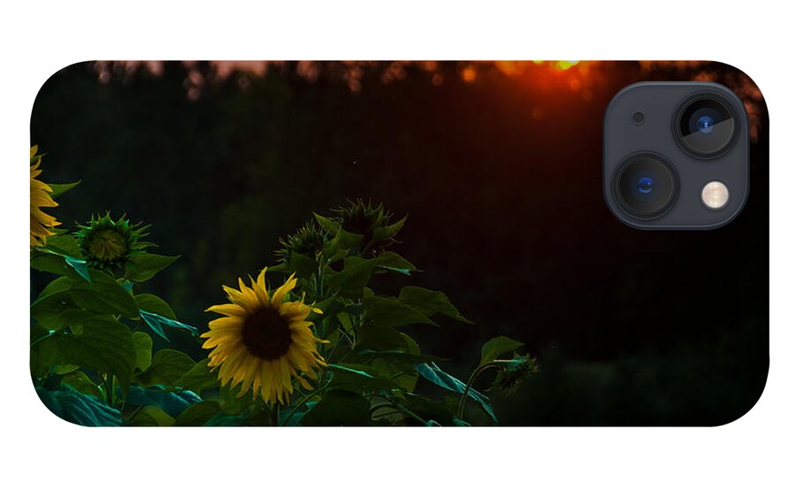 Landscapes iPhone 13 Case featuring the photograph Sunflower Sunset by Cheryl Baxter