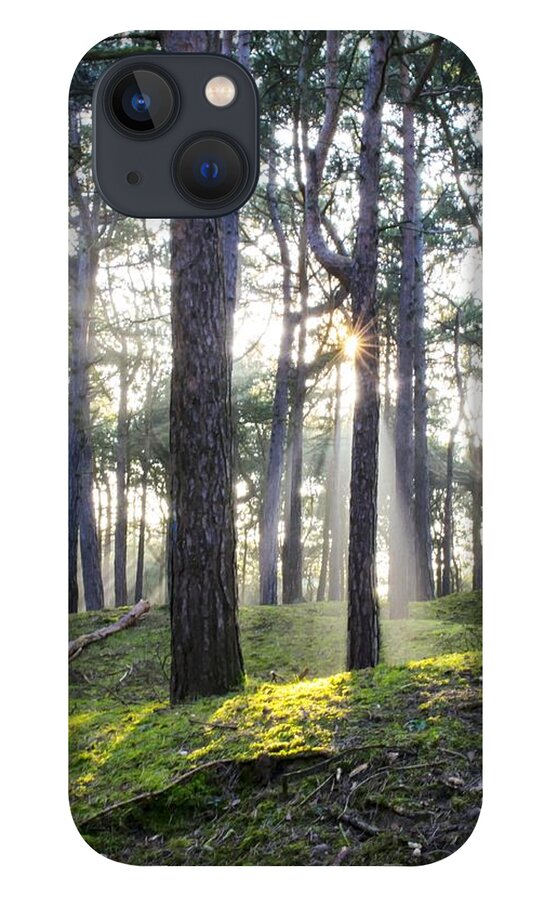Trees iPhone 13 Case featuring the photograph Sunlit Trees by Spikey Mouse Photography