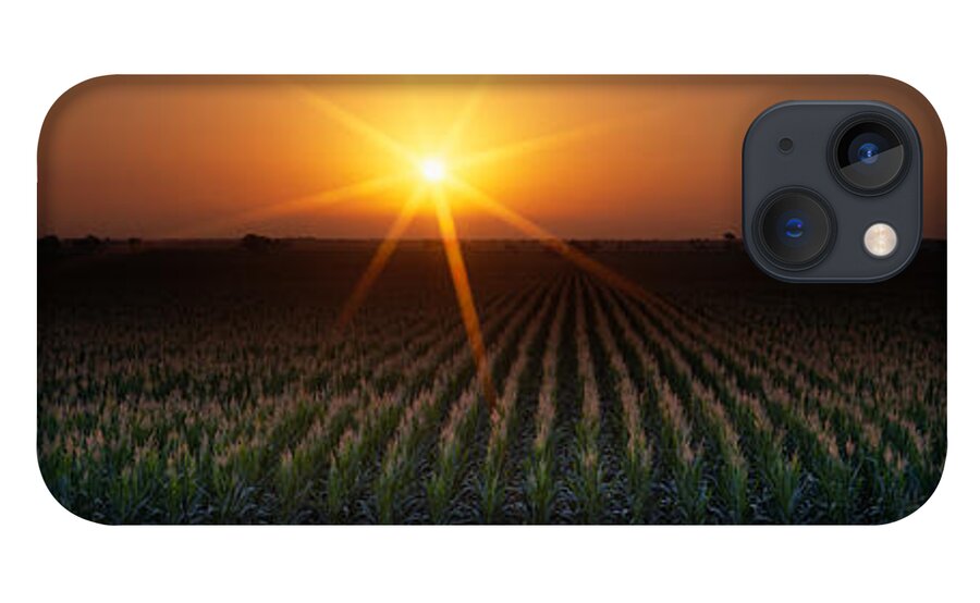 Photography iPhone 13 Case featuring the photograph Sunrise, Crops, Farm, Sacramento by Panoramic Images