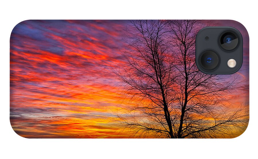 Wetland iPhone 13 Case featuring the photograph Sunrise in the Sacramento Valley by Kathleen Bishop