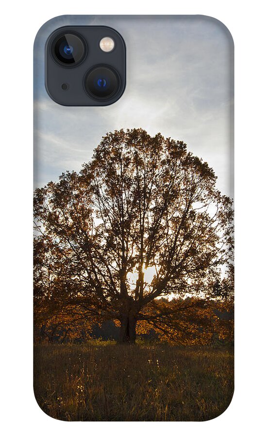 Tree iPhone 13 Case featuring the photograph Sunset Tree by Carol Erikson