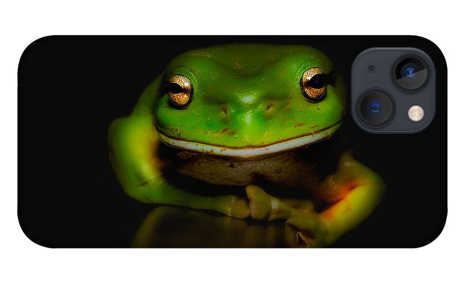 Green Frogs Australia iPhone 13 Case featuring the photograph Super frog 01 by Kevin Chippindall