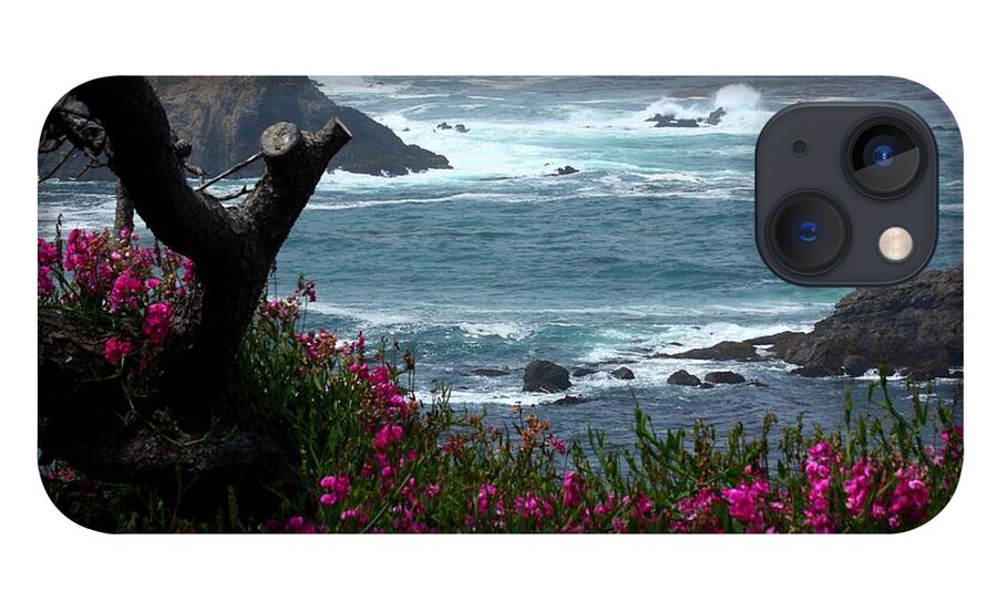 Surf And Turf iPhone 13 Case featuring the photograph Surf and Turf by Patrick Witz