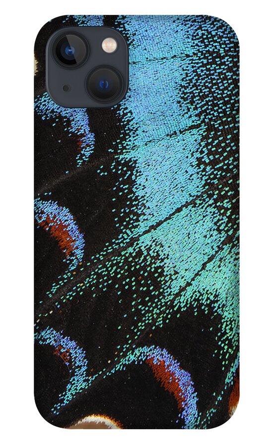 Feb0514 iPhone 13 Case featuring the photograph Swallowtail Butterfly Wing Scales by Thomas Marent