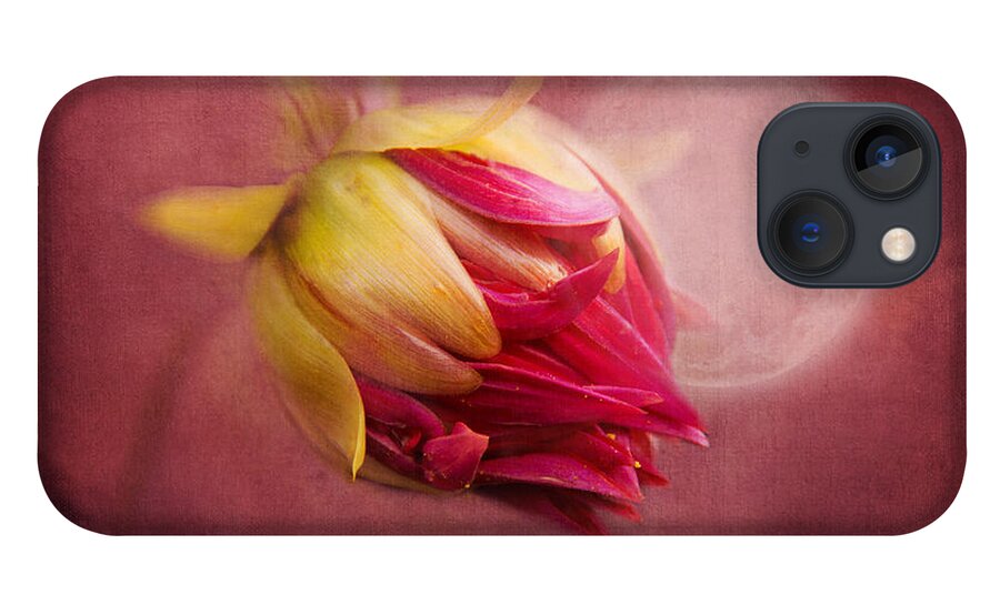 Flower iPhone 13 Case featuring the photograph Sweet Dreams by Marina Kojukhova