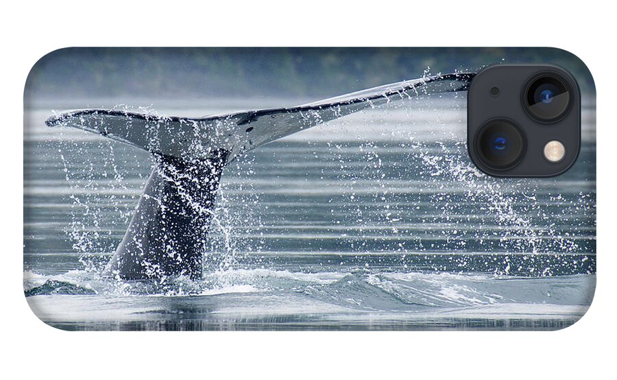 One Animal iPhone 13 Case featuring the photograph Tail Of Humpback Whale by Grant Faint
