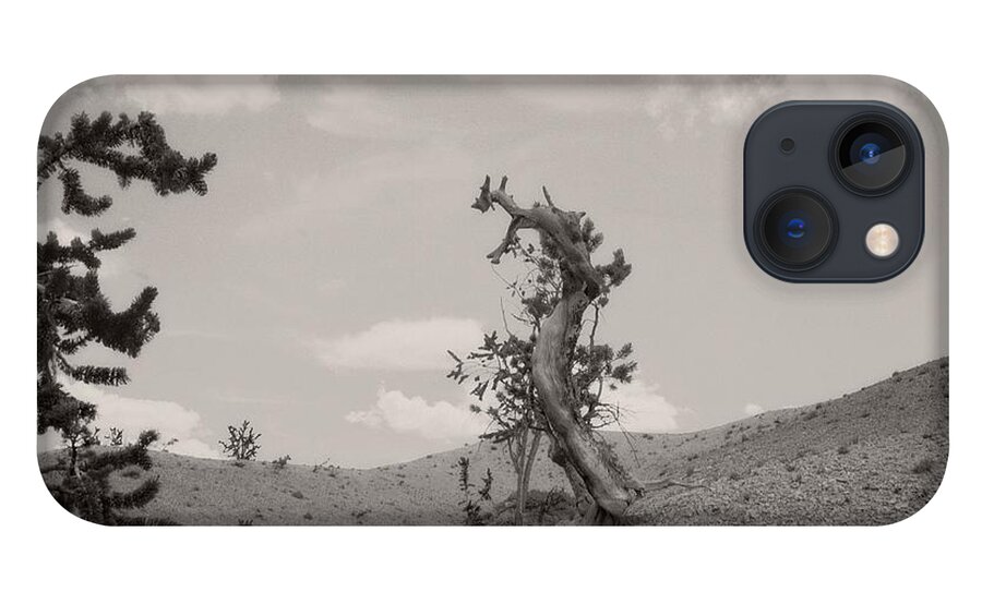 Utah iPhone 13 Case featuring the photograph Talking Trees in Bryce Canyon by Carol Whaley Addassi