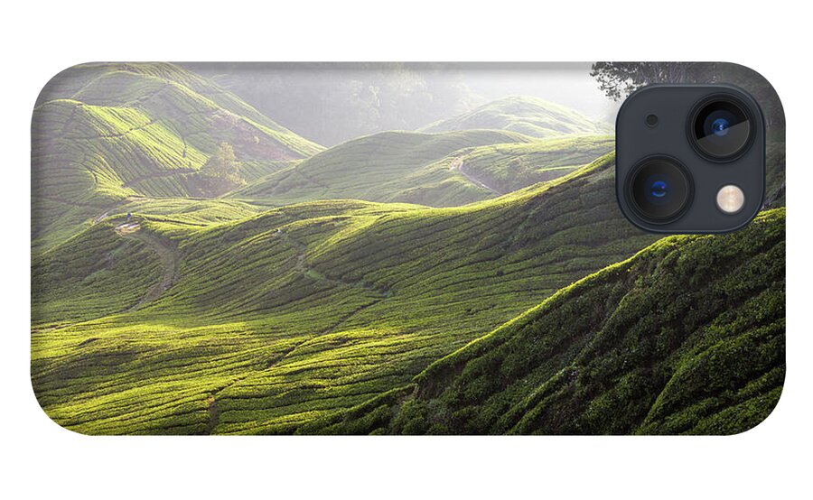 Tranquility iPhone 13 Case featuring the photograph Tea Estate by Daniel Osterkamp