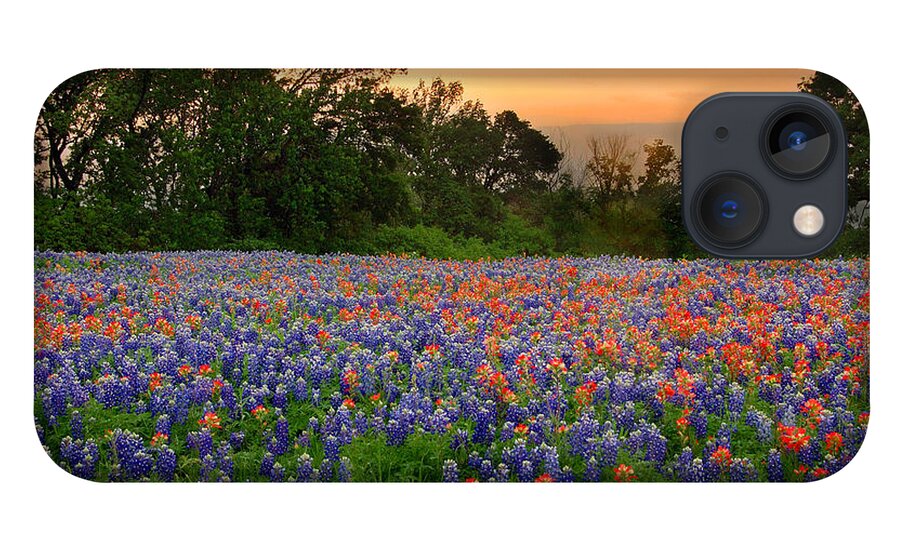 Bluebonnets iPhone 13 Case featuring the photograph Texas Sunset - Bluebonnet Landscape Wildflowers by Jon Holiday