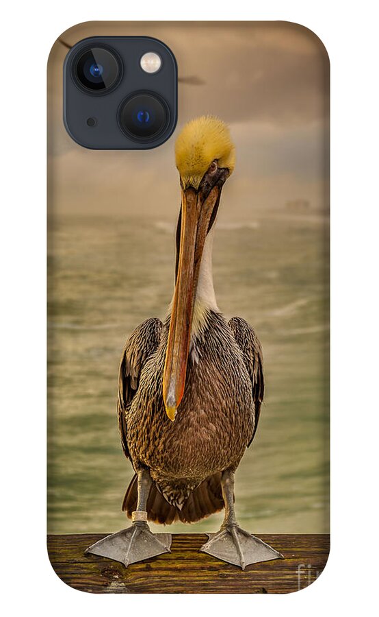 Nature iPhone 13 Case featuring the photograph That's Mr. Pelican to You by Steven Reed