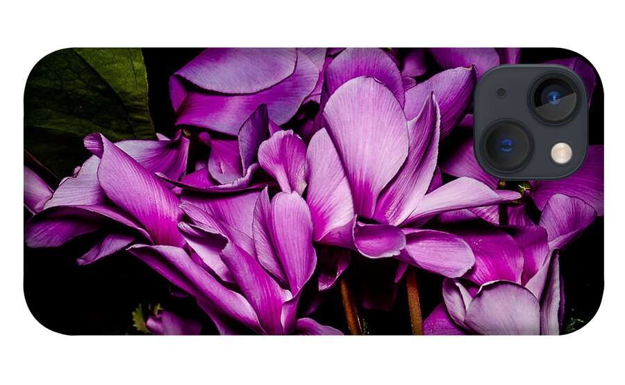 Flowers iPhone 13 Case featuring the photograph The Color Purple by Len Romanick