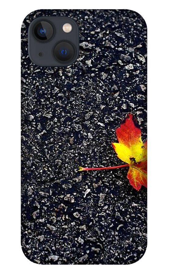 Photo iPhone 13 Case featuring the photograph The Colors of Autumn by Frank J Casella