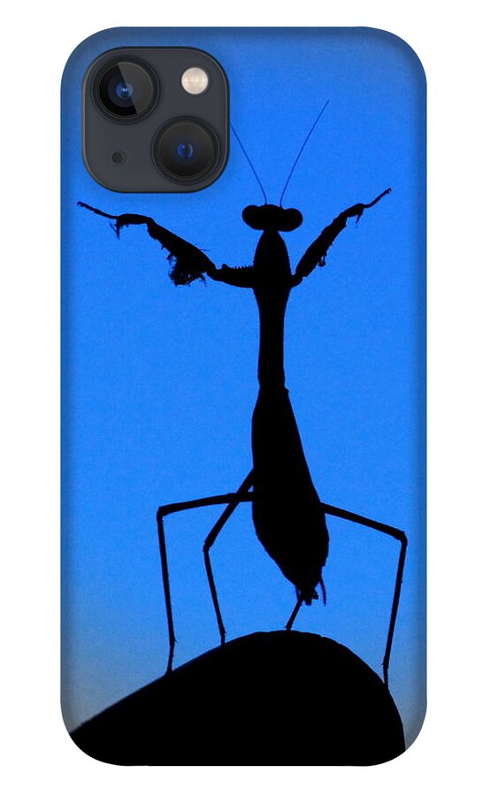Conductor iPhone 13 Case featuring the photograph The Conductor by Patrick Witz