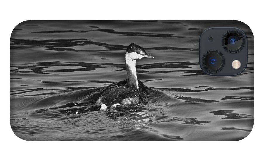 Grebe iPhone 13 Case featuring the photograph The Curious Grebe by Dan Hefle