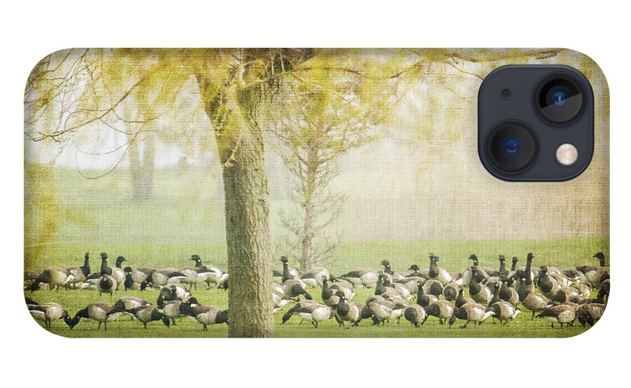 Flock iPhone 13 Case featuring the photograph The Gathering by Cathy Kovarik