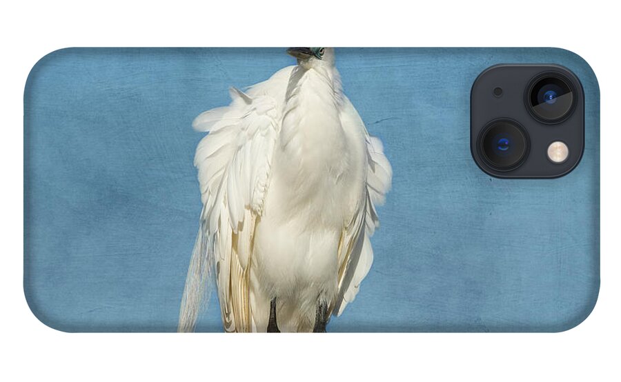 Egret iPhone 13 Case featuring the photograph The Great One by Kim Hojnacki